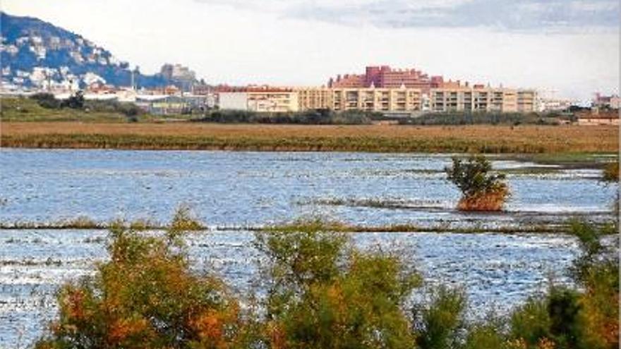 Un dels estanys de Castelló d&#039;Empúries inundat per les darreres pluges.