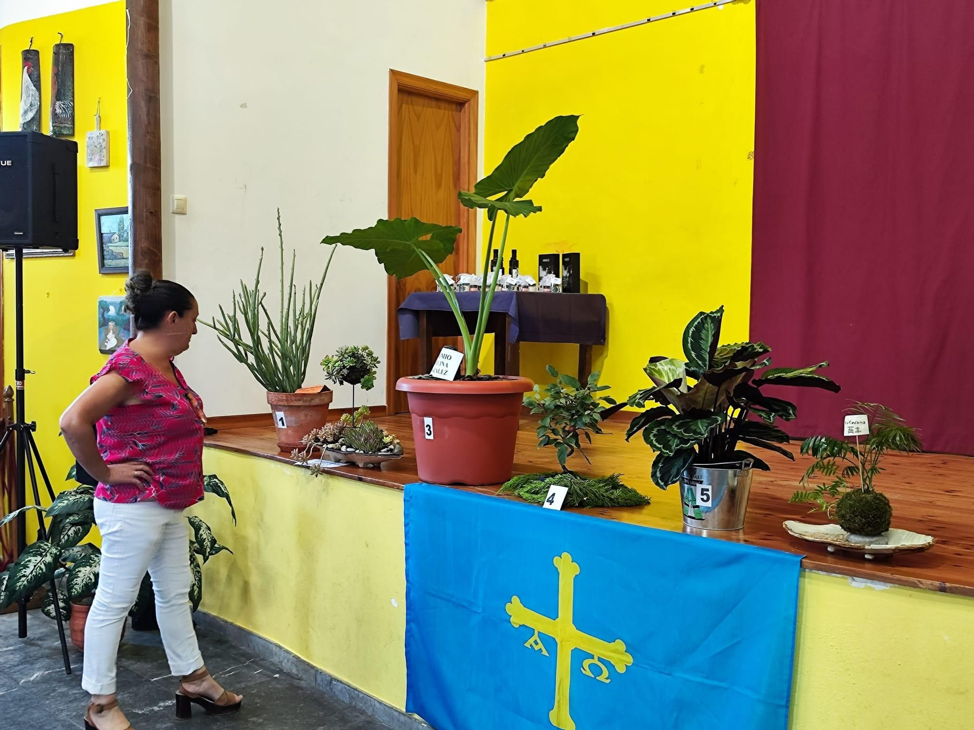 Quintes, entre hortalizas y plantas en una nueva exposición de la huerta