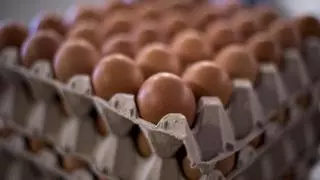 Estos huevos son muy conocidos en España y tienen más proteína que los de gallina