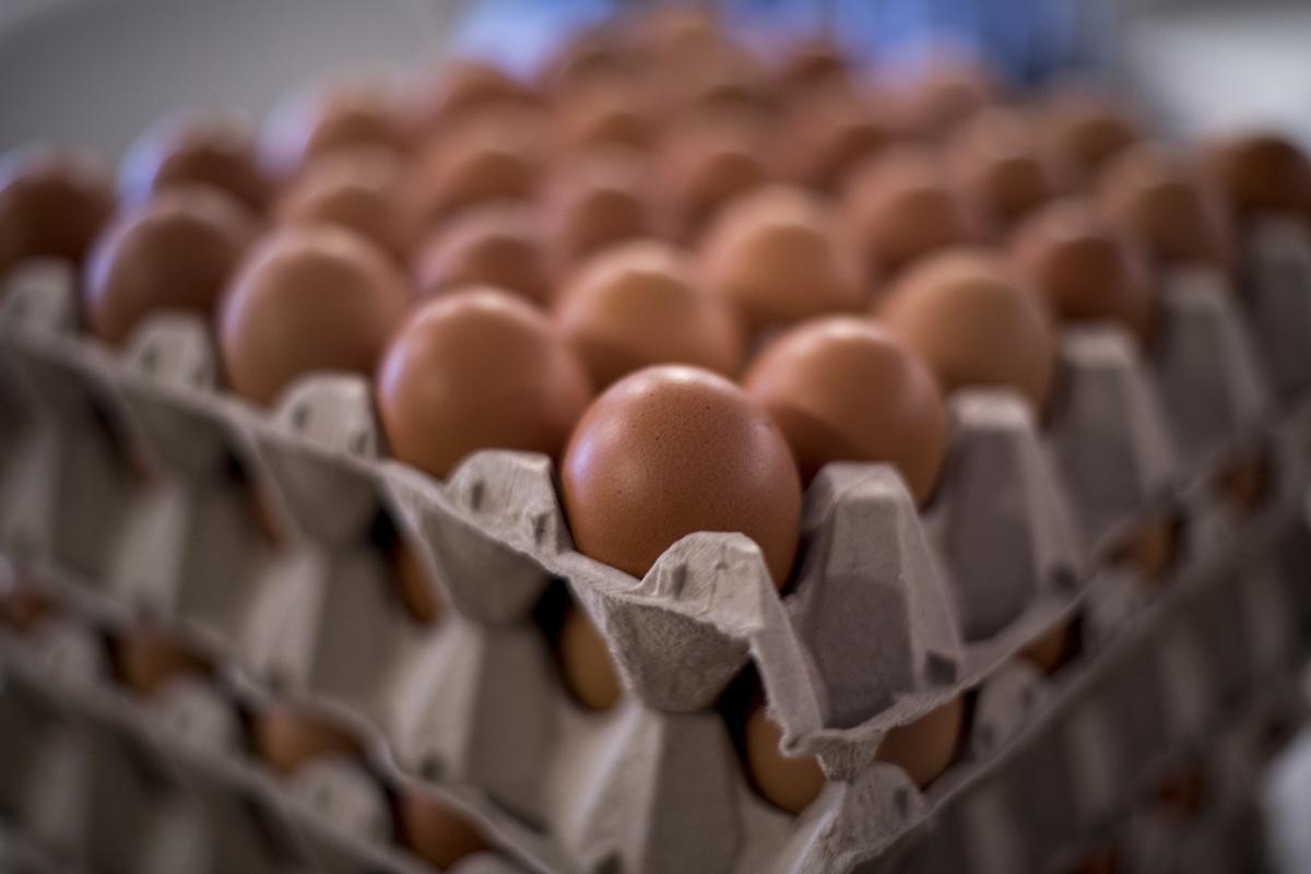 Por qué los huevos frescos se hunden y cuando están en mal estado flotan