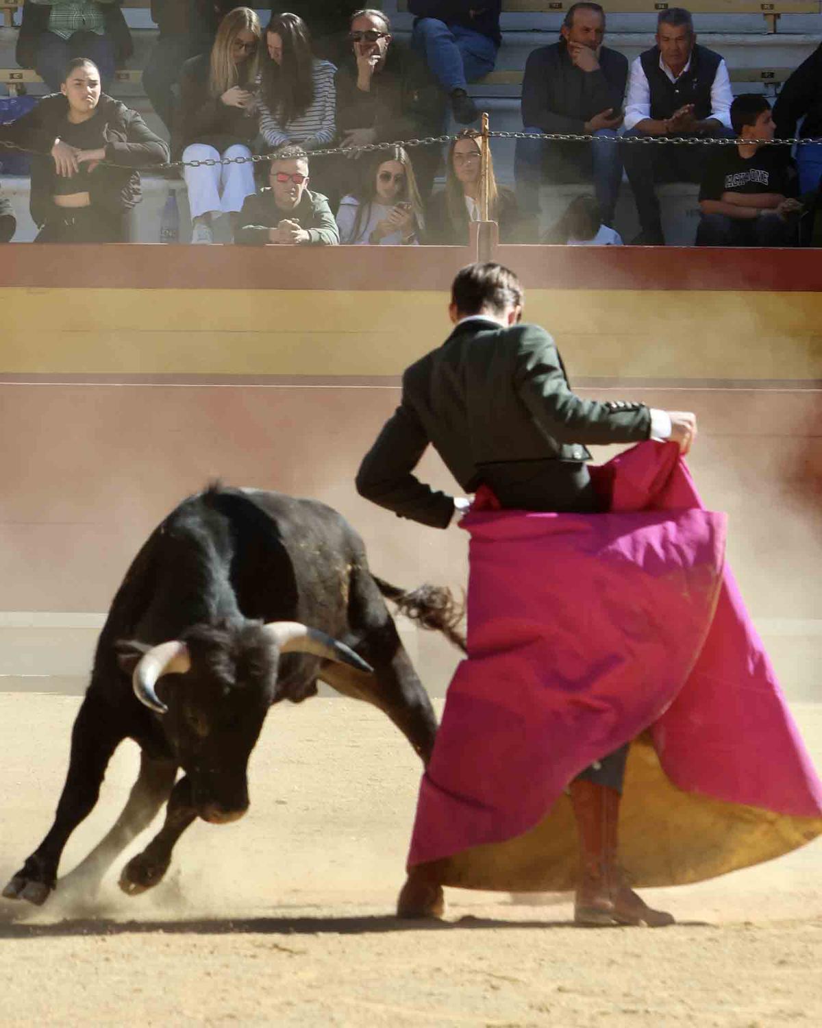 Éxito artístico en el V certamen José María Manzanares de Alicante