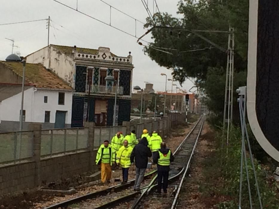 La caída de un árbol sobre la catenaria ha cortado el metro entre Meliana y Alboraia