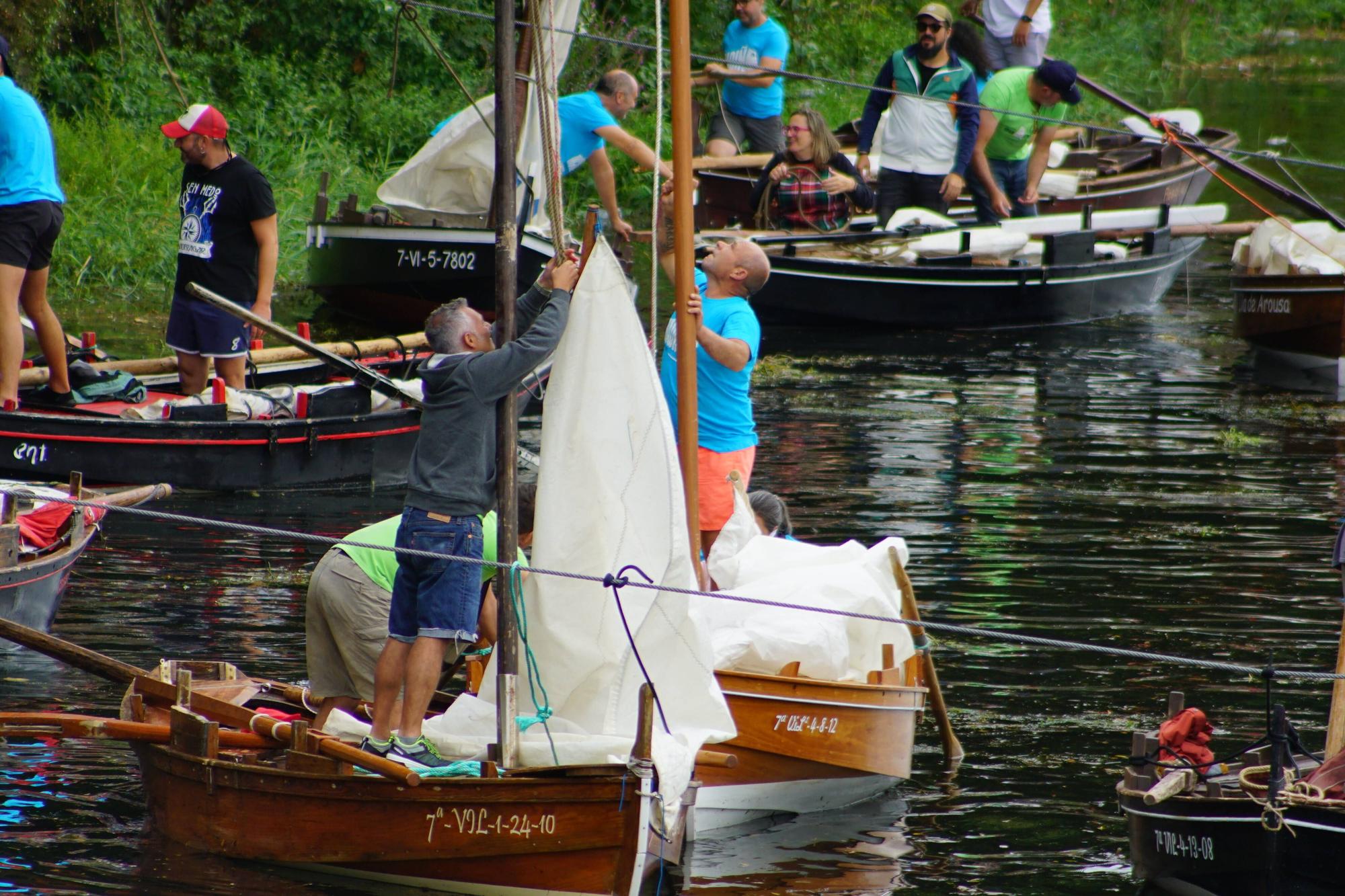 Inchadiña branca vela