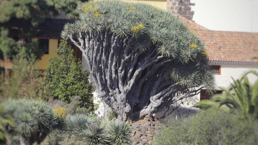 ‘La Laguna verde’, un foro para analizar el presente y futuro de las zonas verdes