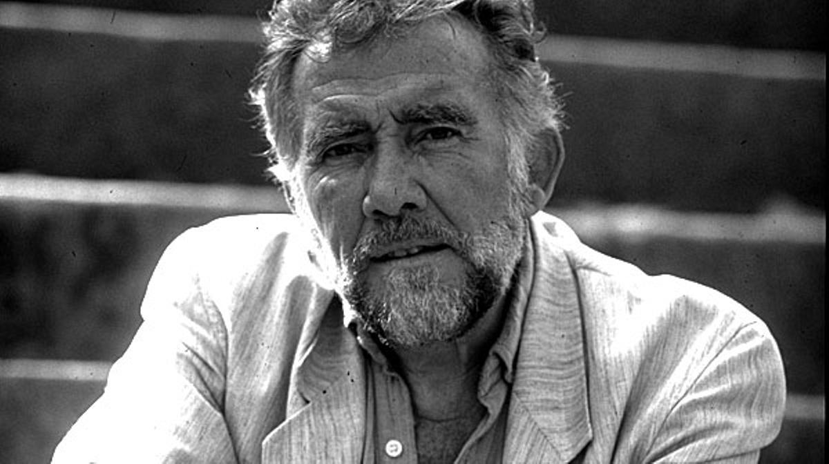 Fernando Guillén a ’Mujeres al borde de un ataque de nervios’.