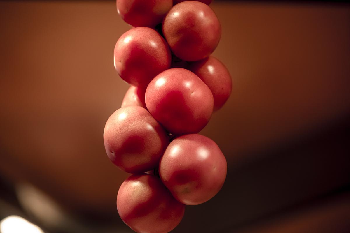 Tomate de ‘ramellet’