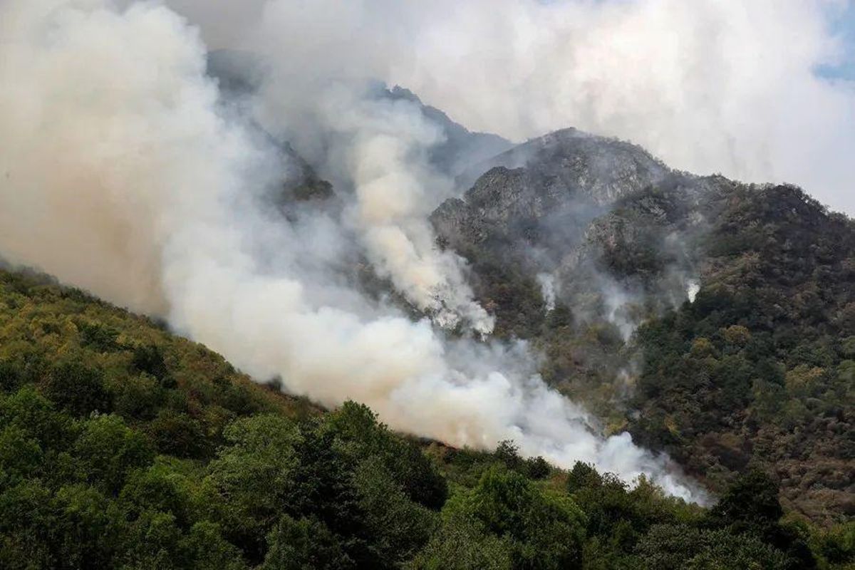 Imagen de un incendio en las inmediaciones de Caunedo, en el parque Natural de Somiedo (Asturias), del 18 de agosto.