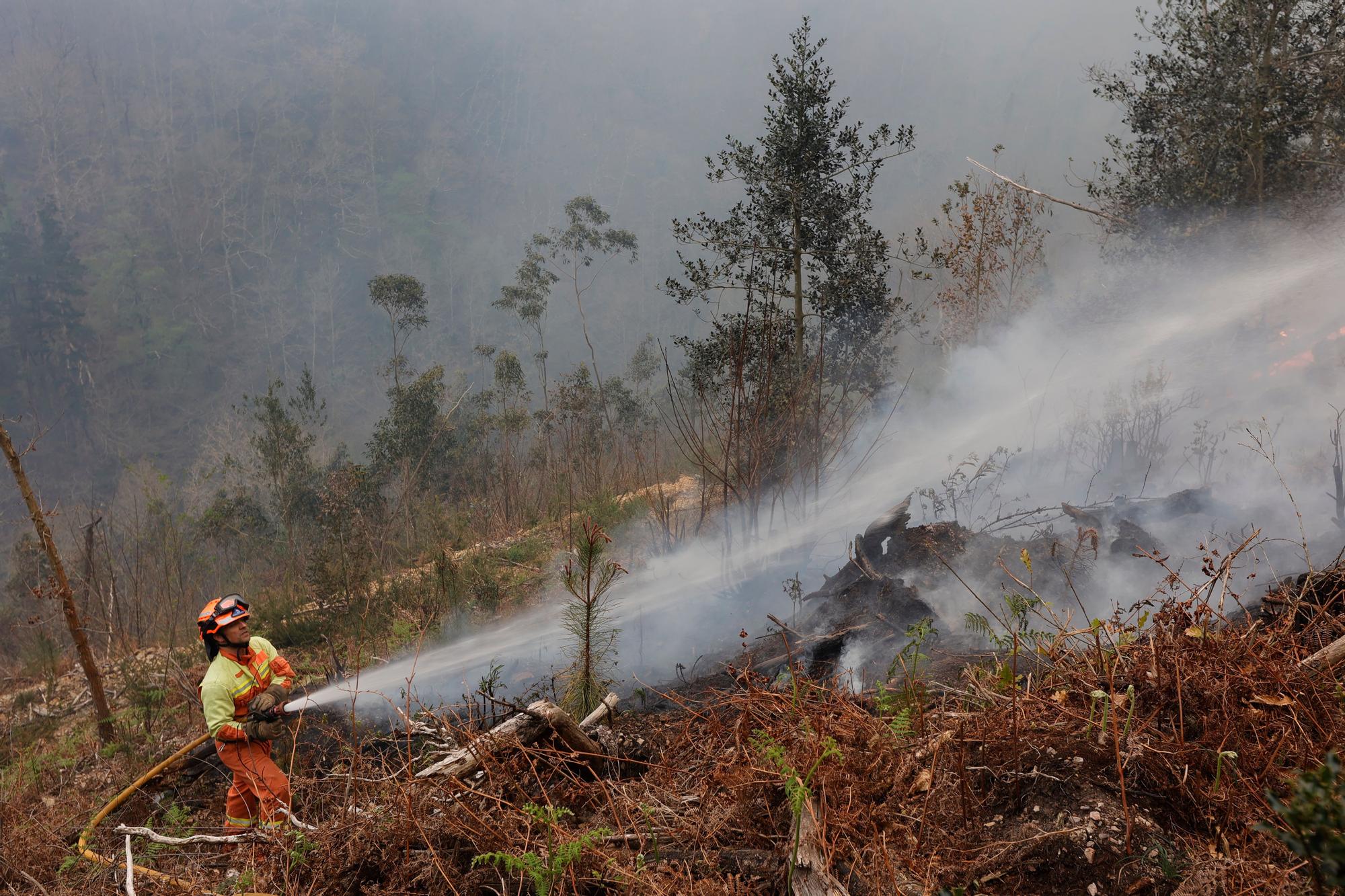 Dura lucha contra los incendios de Tineo y Valdés