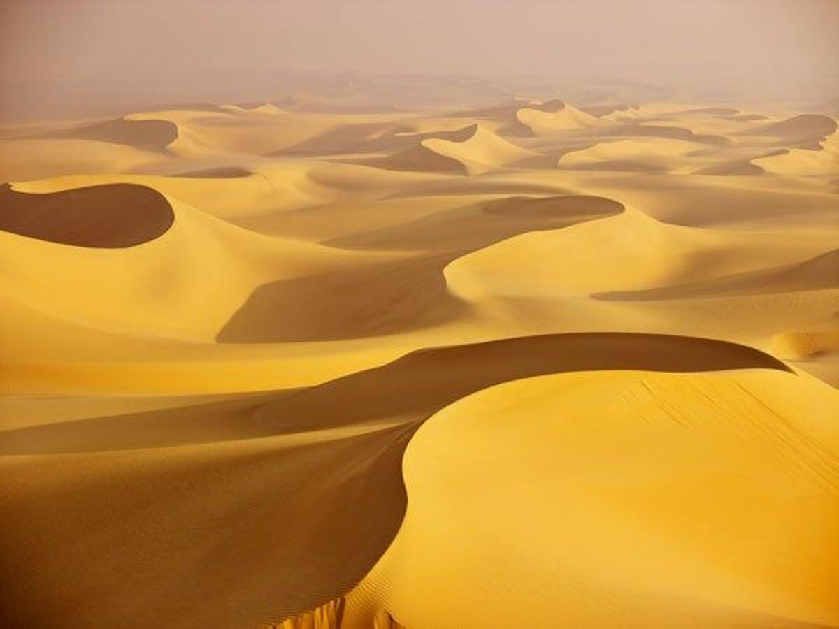 El desierto del Sáhara es el más cálido y grande del planeta.