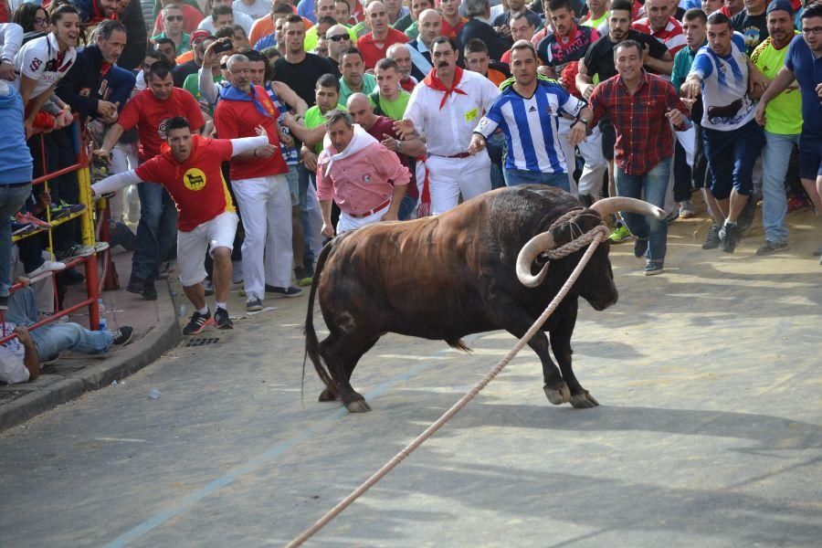 Enmaromado 2016: Así fue el Día Grande en Benavent