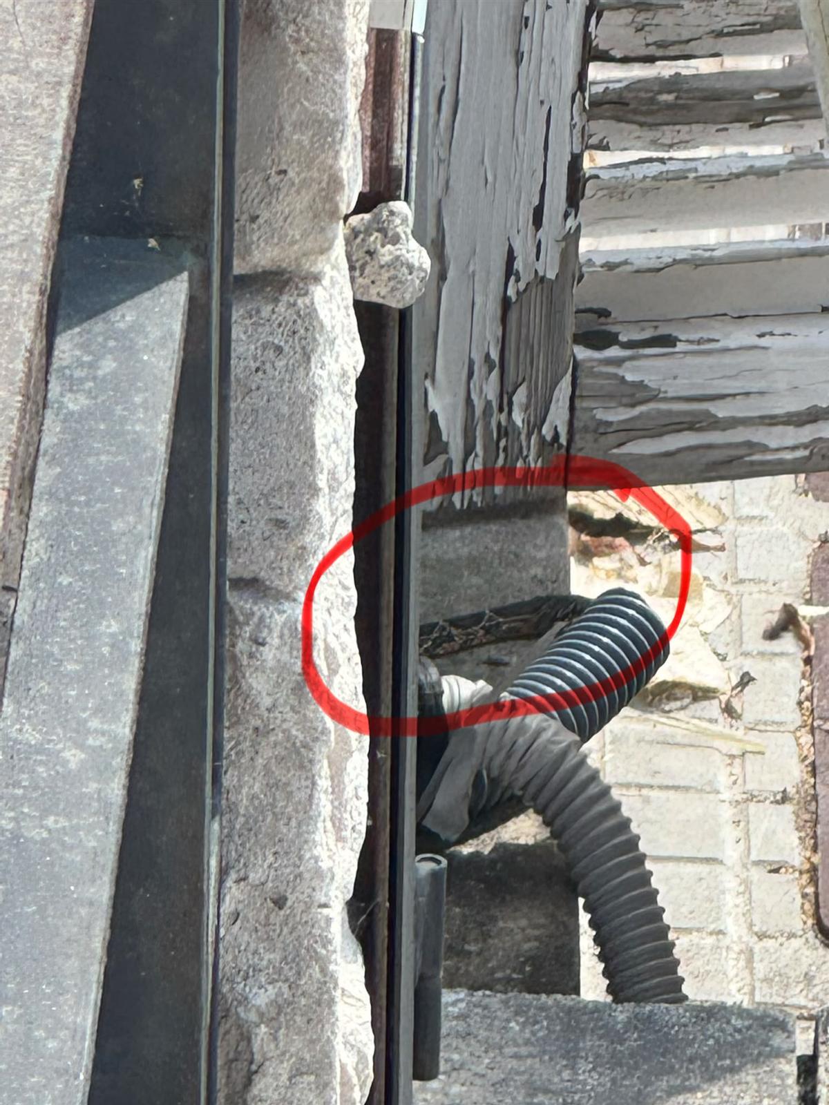 Vom Briefkasten in den Stromkasten: Die Schlange in ihrem neuen Versteck.