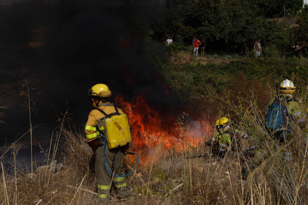 Incendio forestal Arribes
