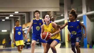 Jugadores de hasta siete países distintos participarán en la II CBGC Summer Academy