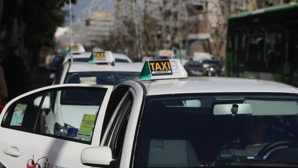 Taxis estacionados en Córdoba.