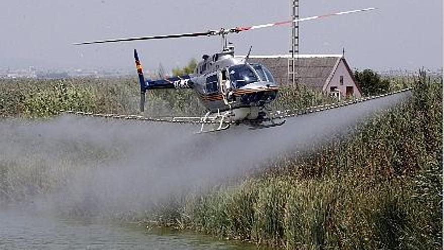 La Fumigacion Aerea Vuelve Al Saler Con El Lanzamiento De Larvas Contra Los Mosquitos Levante Emv