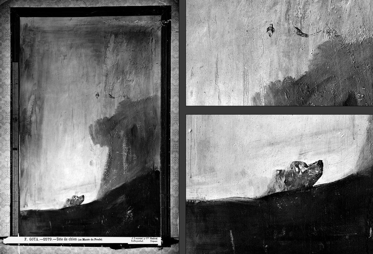 Fotografía de Jean Laurent tomada a mediados del siglo XIX del 'Perro semihundido' de Goya