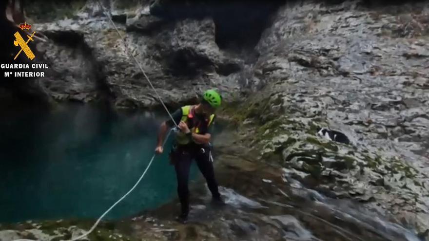 La Guardia Civil tuvo que descender hasta el cauce de un río para rescatar al perro accidentado