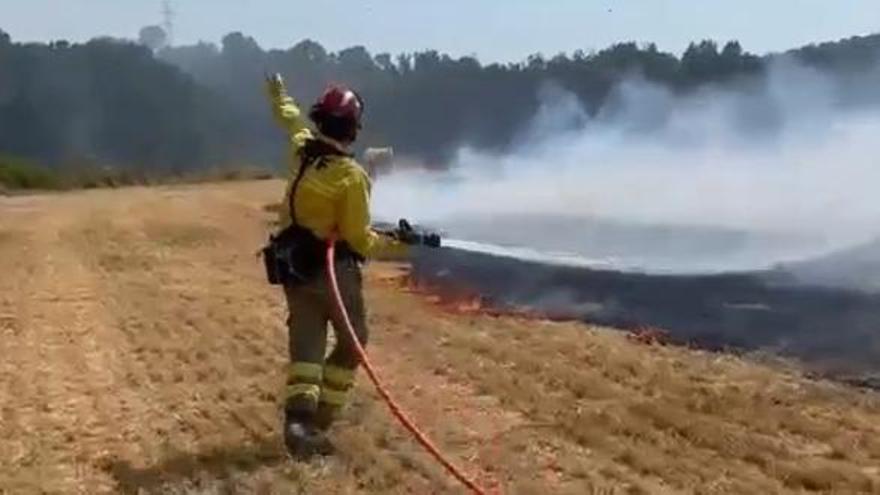 Un vídeo gravat pels ADF en un foc al Bages es converteix en un fenomen viral internacional