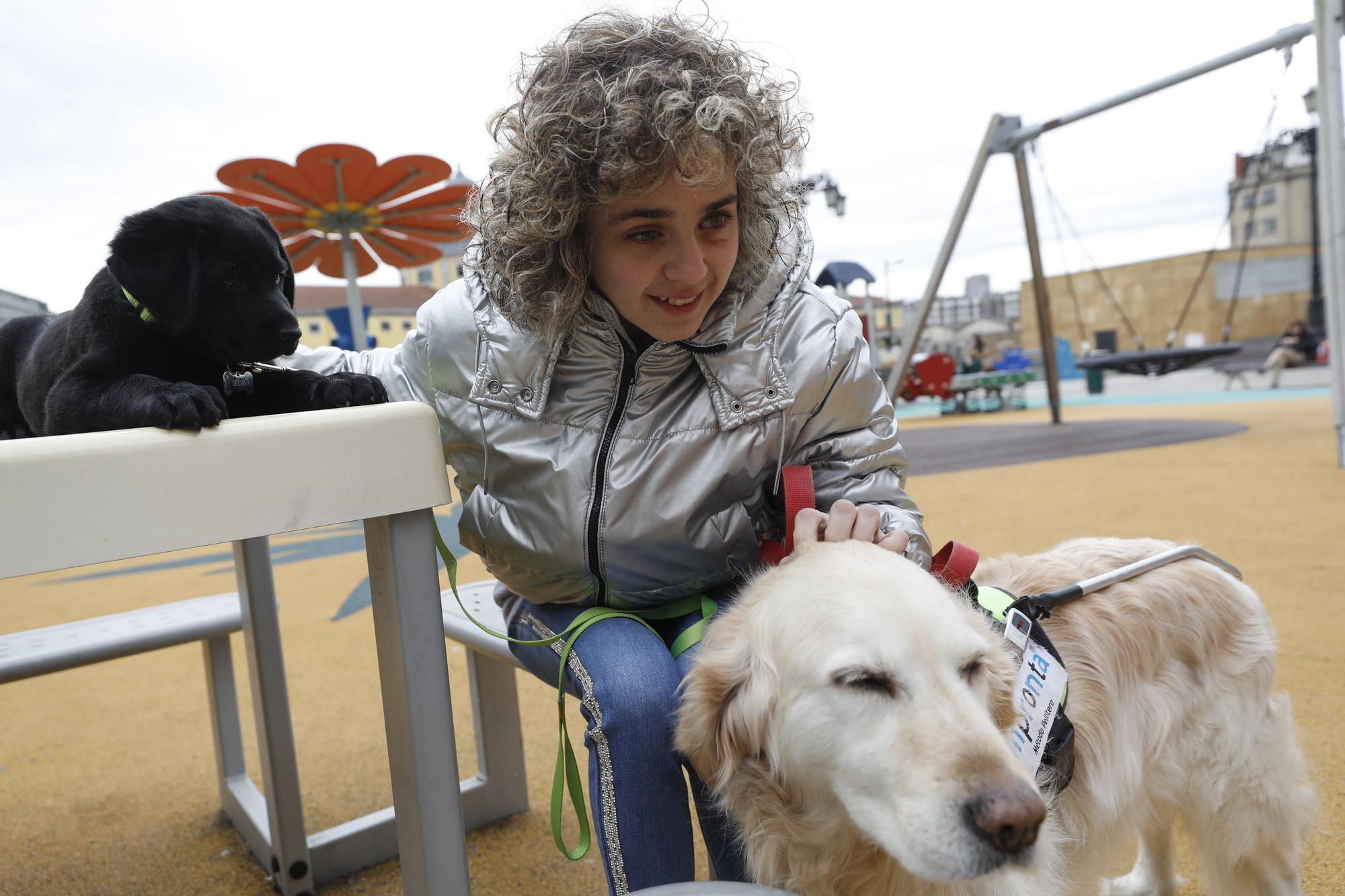 Carmen López, la primera invidente de Europa con título para entrenar perros guía