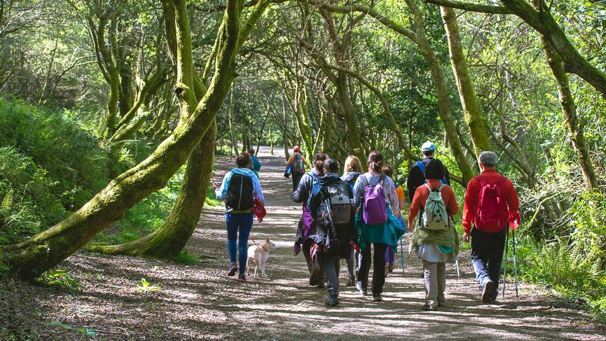 Camiño a Camiño echa a andar en otoño: ocho rutas guiadas gratis por Vigo y provincia