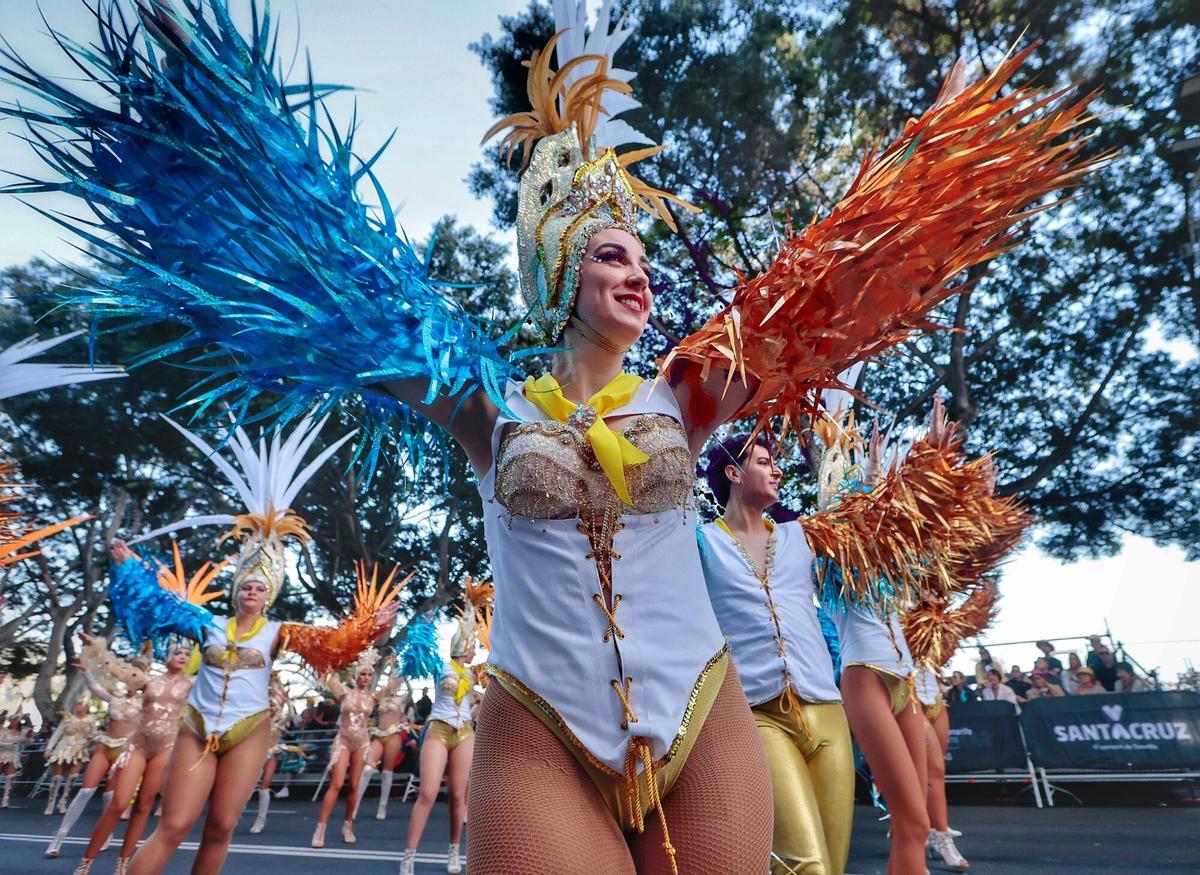 Coso del Carnaval de Santa Cruz de Tenerife