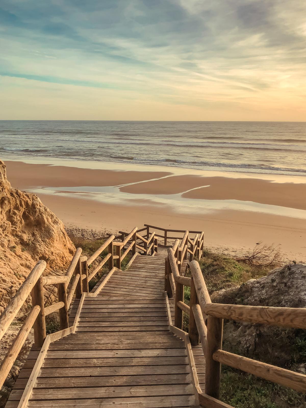 Paisaje en el Parque Nacional de Doñana en Andalucía