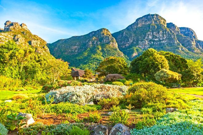 Kirstenbosch, Sudáfrica