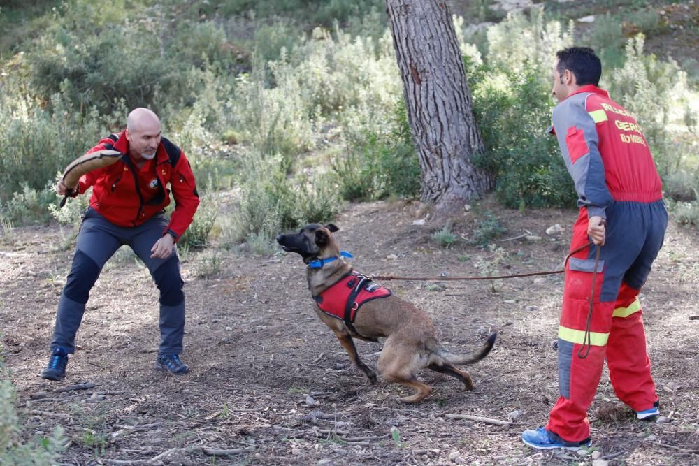 Técnicas de búsqueda de personas con perros