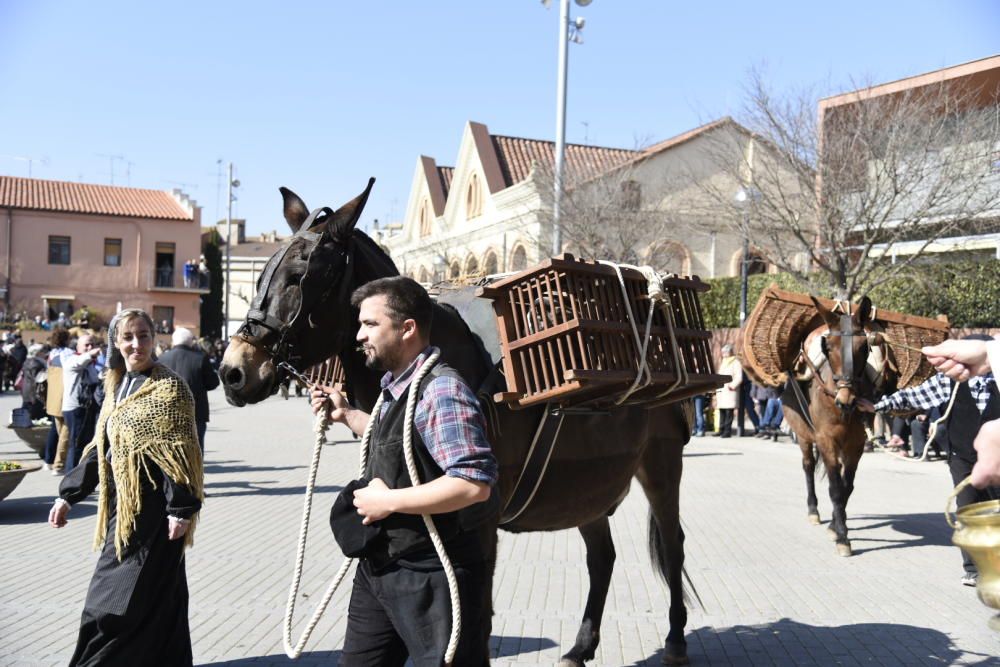 Traginers de Balsareny 2019