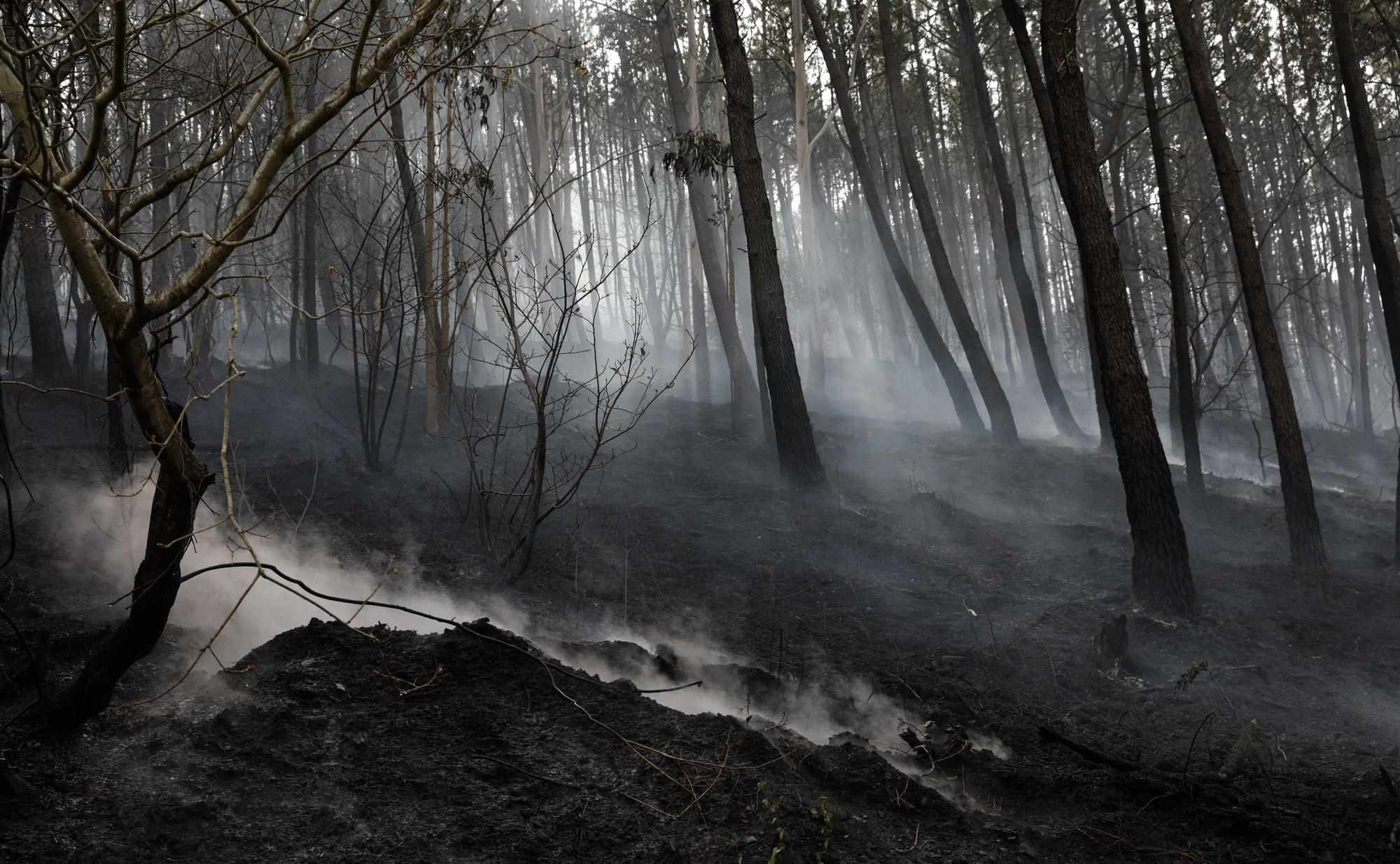 Trabajos de extinción de los incendios en Valdés