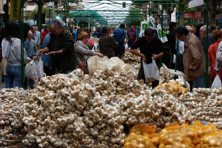 Fiestas San Pedro 2017: Feria del Ajo