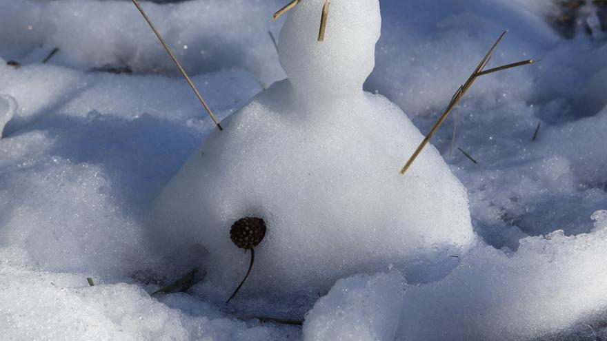 Warnstufe Orange: 15 Zentimeter Neuschnee auf Mallorca erwartet