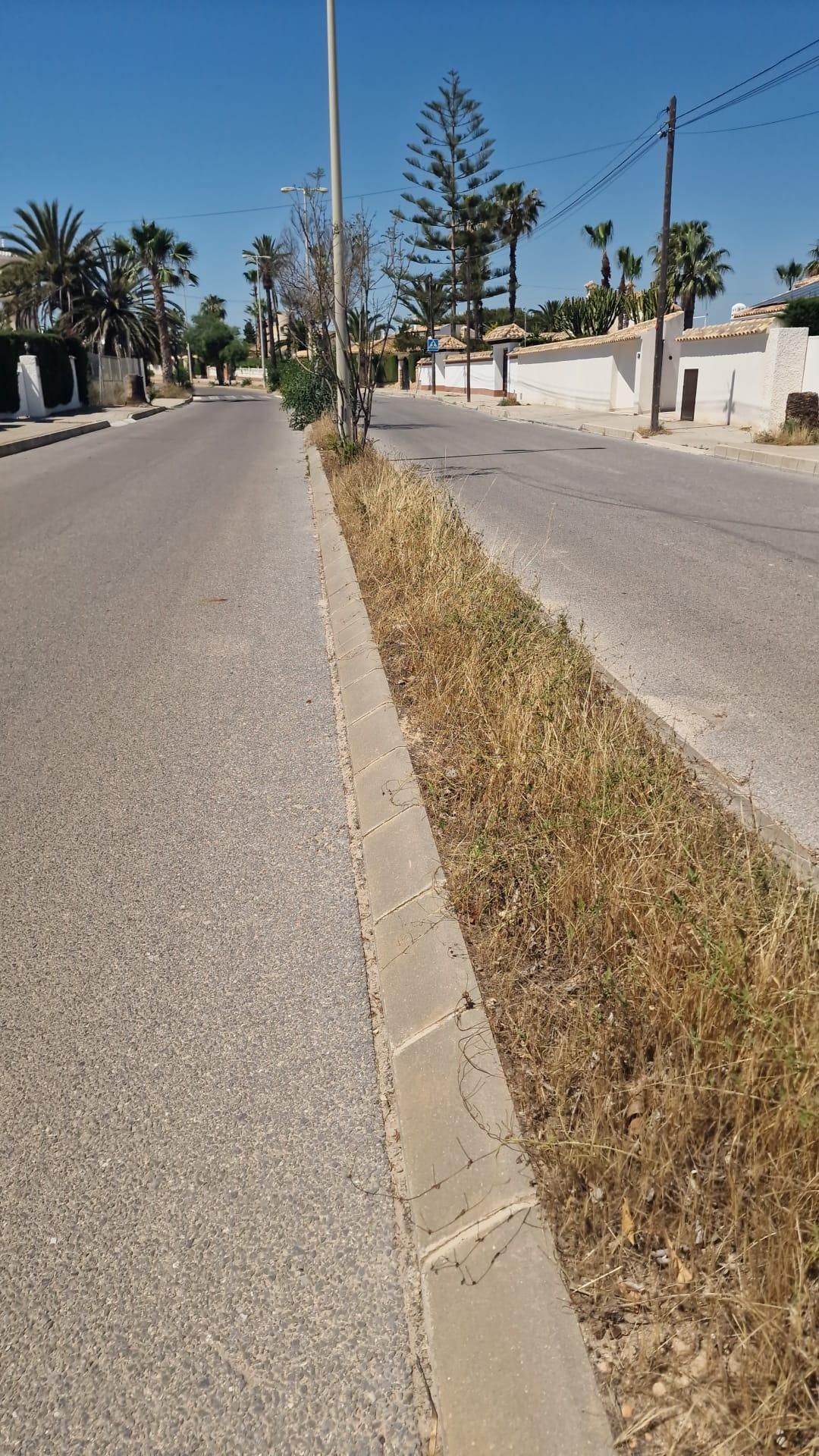 Una jungla sobre el asfalto de Orihuela Costa