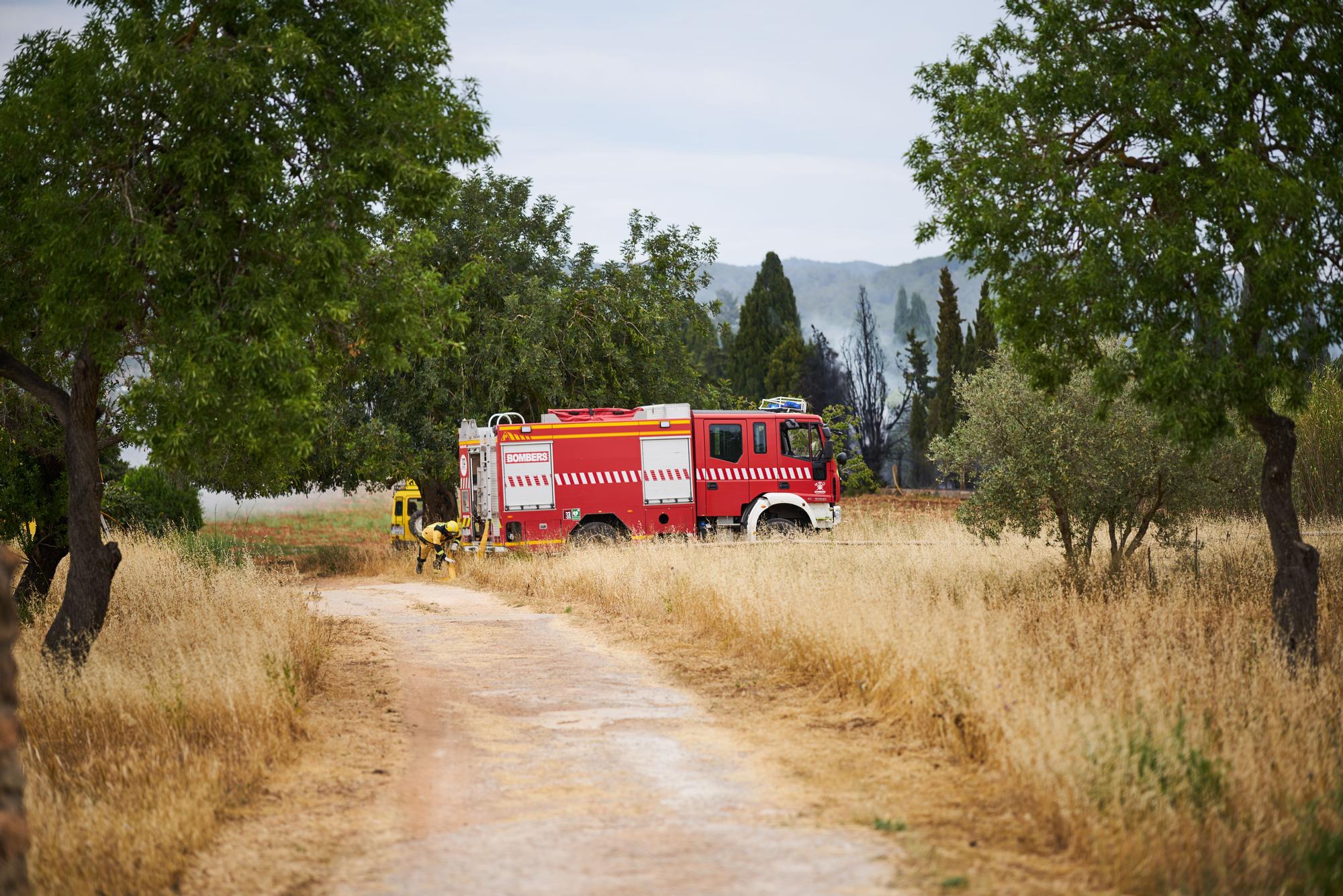 Todas las fotos del incendio en una finca agrícola de ses Païses