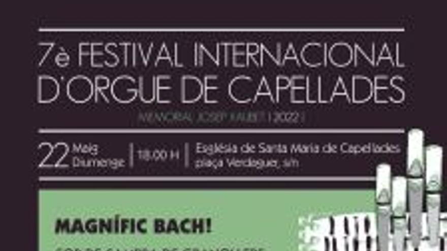 Magnífic Bach per al tercer concert del Festival d&#039;Orgue