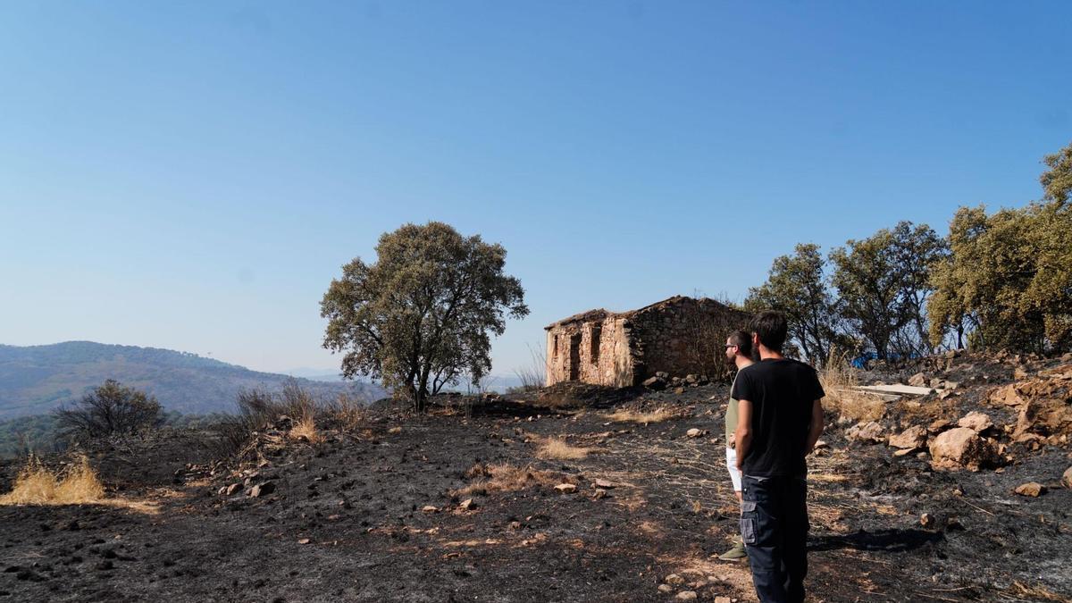 Dos personas observan la zona afectada tras el incendio del Puerto del Calatraveño, en agosto de 2021.