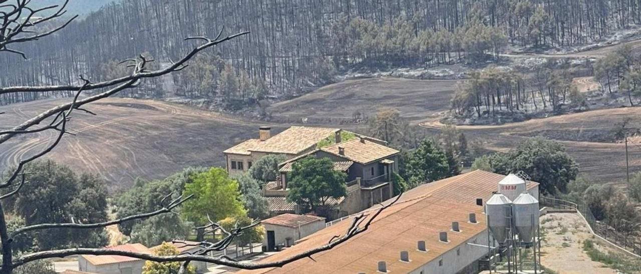 Els voltants de la masia i les granges estan completament cremats | ARXIU PARTICULAR