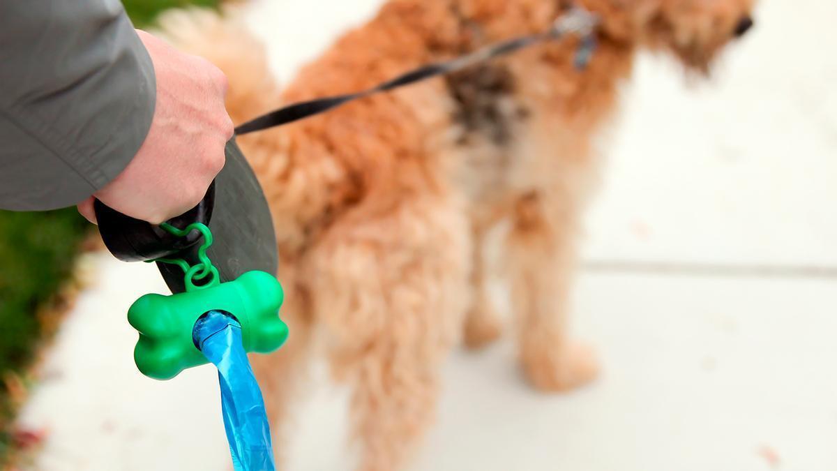 Adios a las bolistas de caca de los perros el artilugio de Lidl mas limpio que las recoge por ti