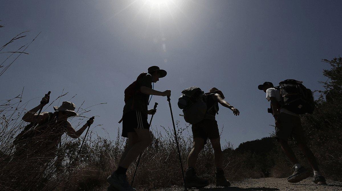 Un grupo de peregrinos, realizando el Camino de Santiago, a la altura de la localidad navarra de Zabaldika, en agosto del 2018.