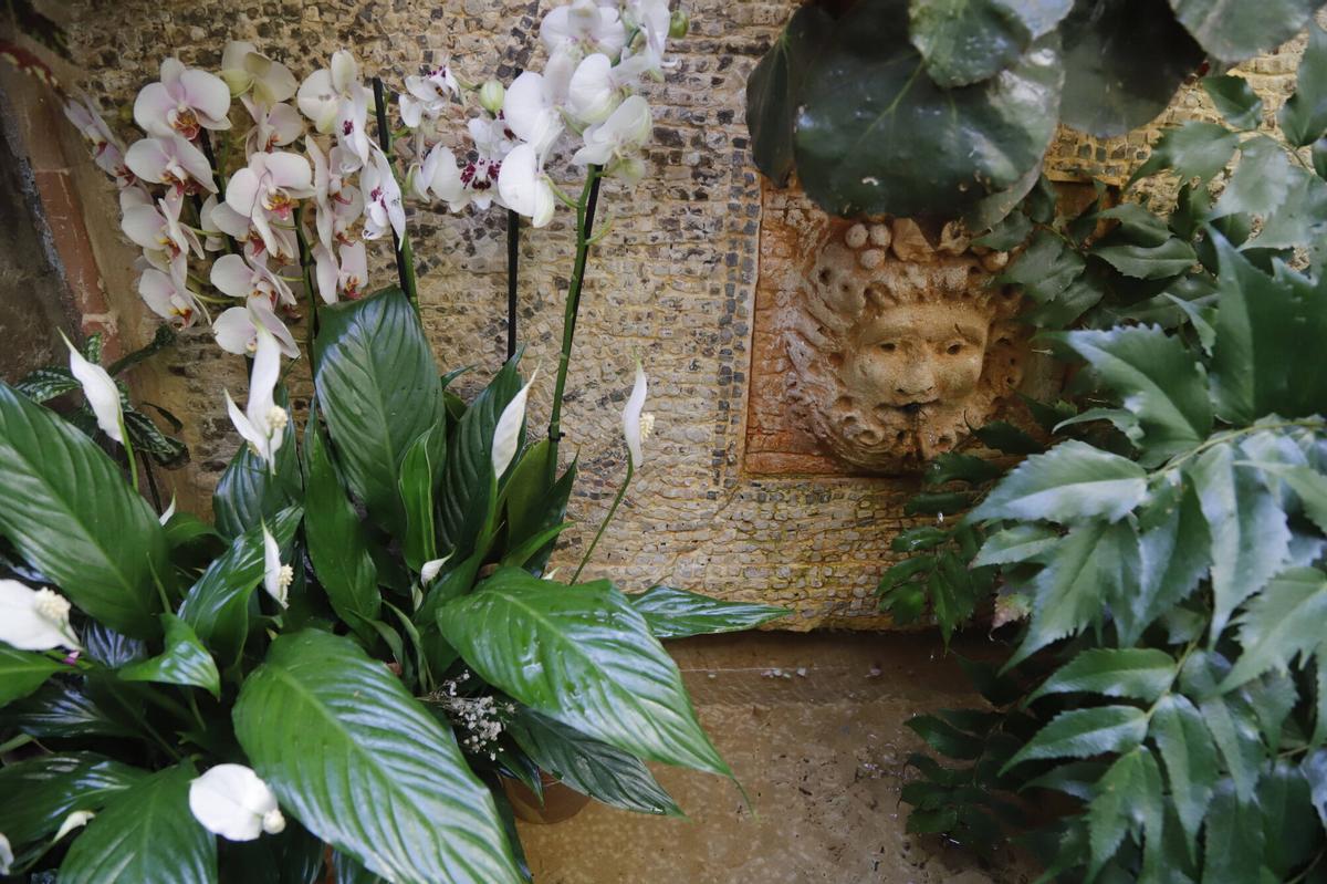 Patio San Basilio 20