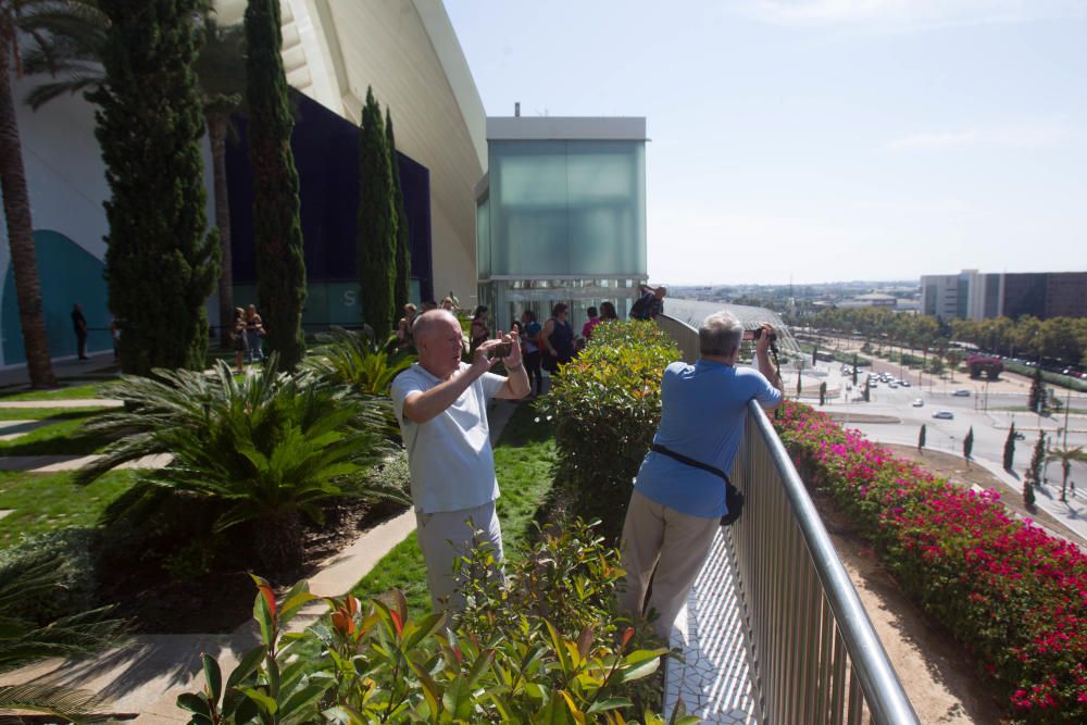 Jornada de puestas abiertas en el Palau de les Arts