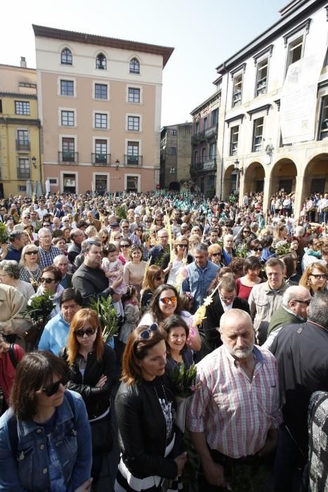 Domingo de Ramos en Avilés