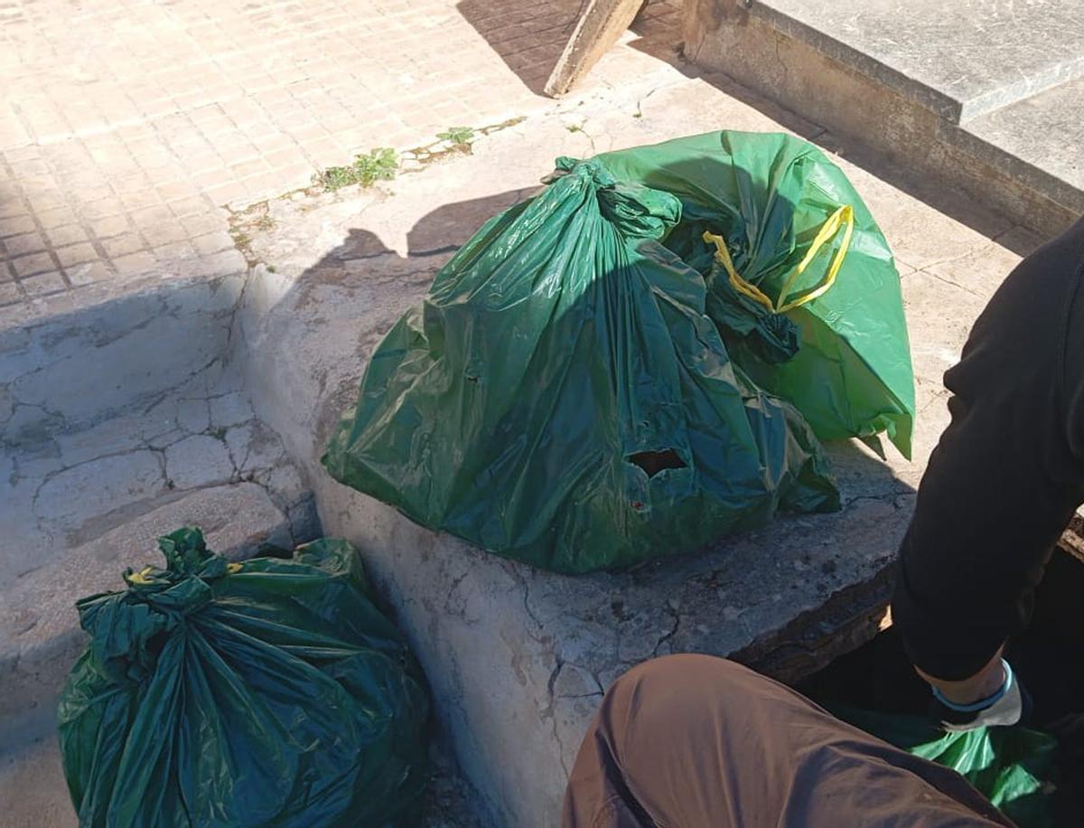 En el cementerio le devolvieron los restos de sus antepasados en estas bolsas sin identificar. | JJ.F.M.