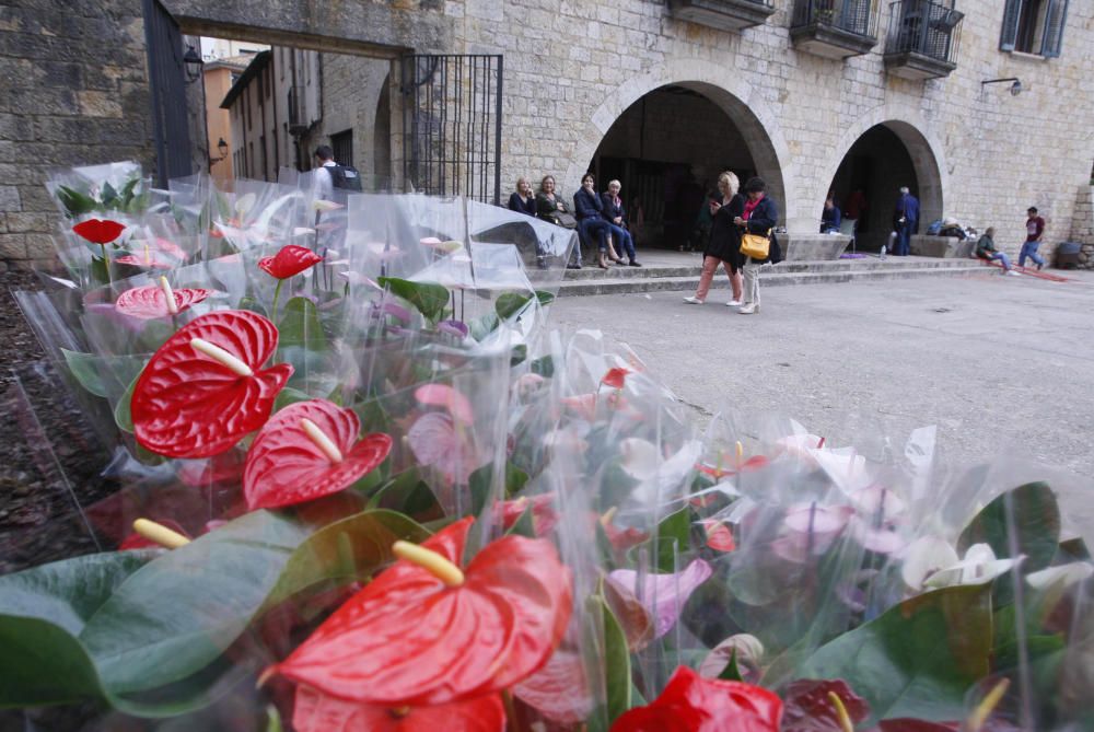 Preparatius de Temps de Flors