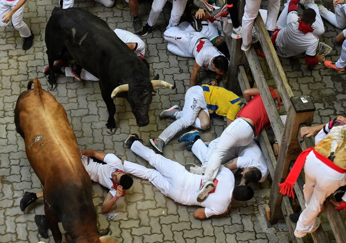 La Ressurrecció dels Sanfermins.