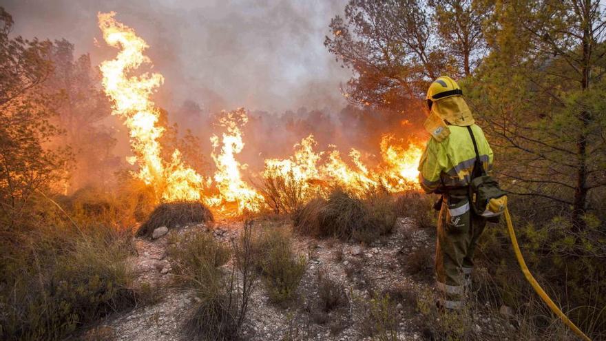 Incendio forestal en Lorca