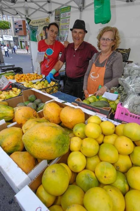 Segunda jornada de la Feria del Sureste