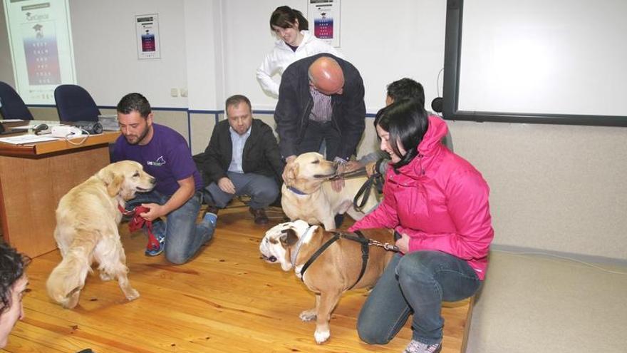 Una demostración de la docilidad de los animales.