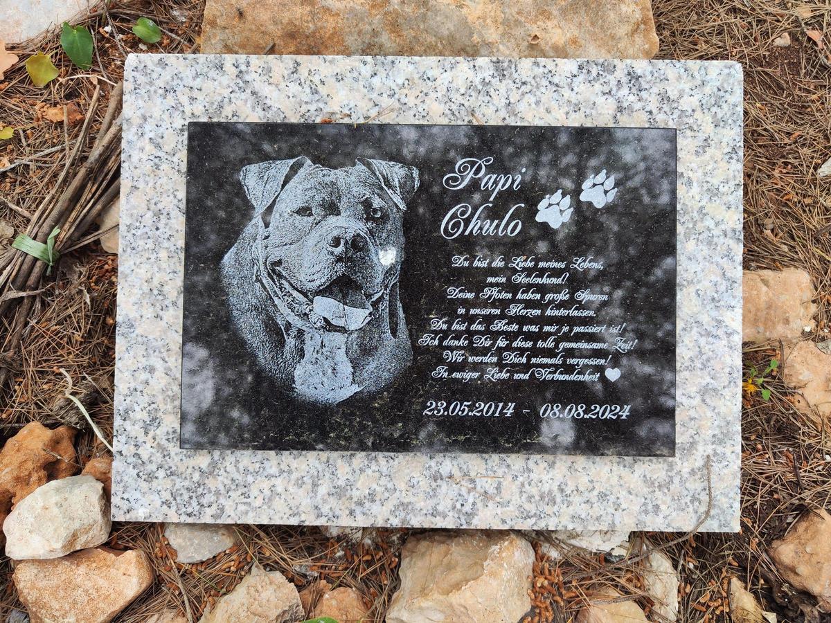 El cementerio ilegal de perros y gatos de sa Caleta en imágenes El cementerio ilegal de perros y gatos de sa Caleta en imágenes