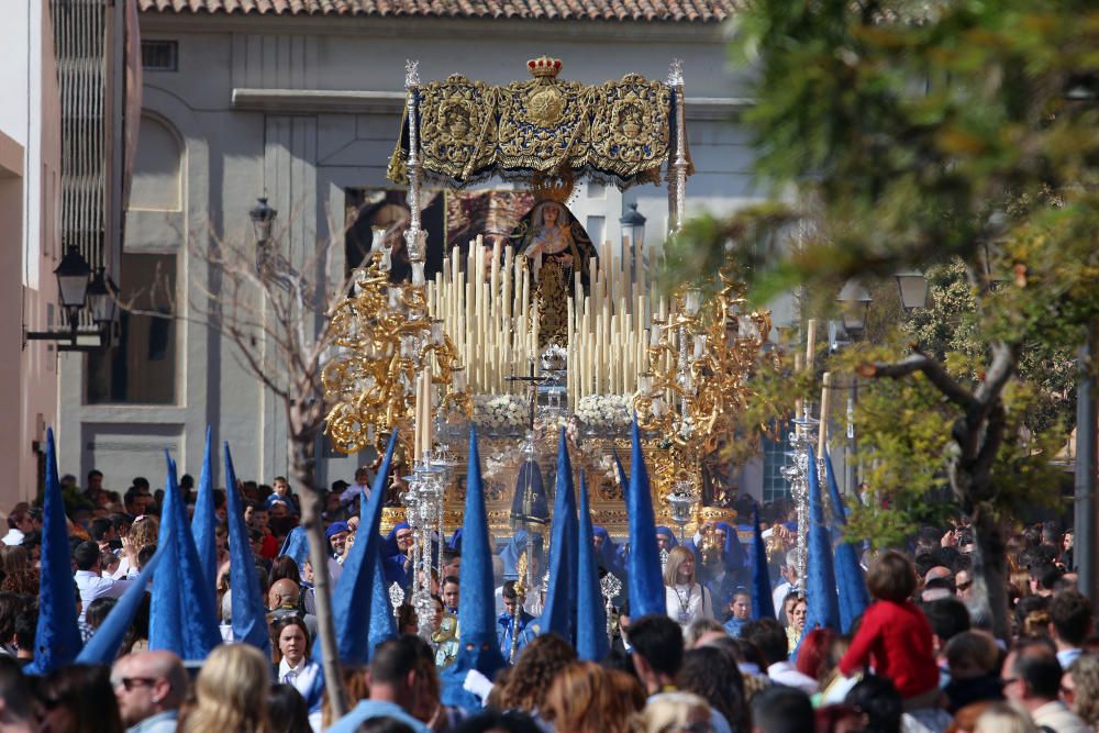 Domingo de Ramos l Huerto